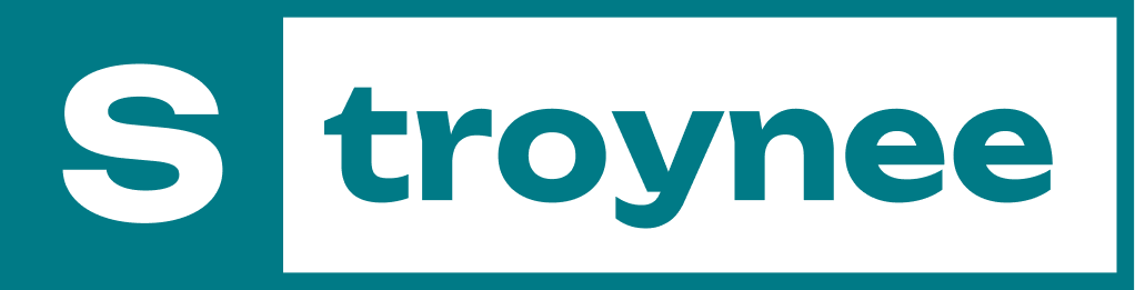 stroynee-logo
